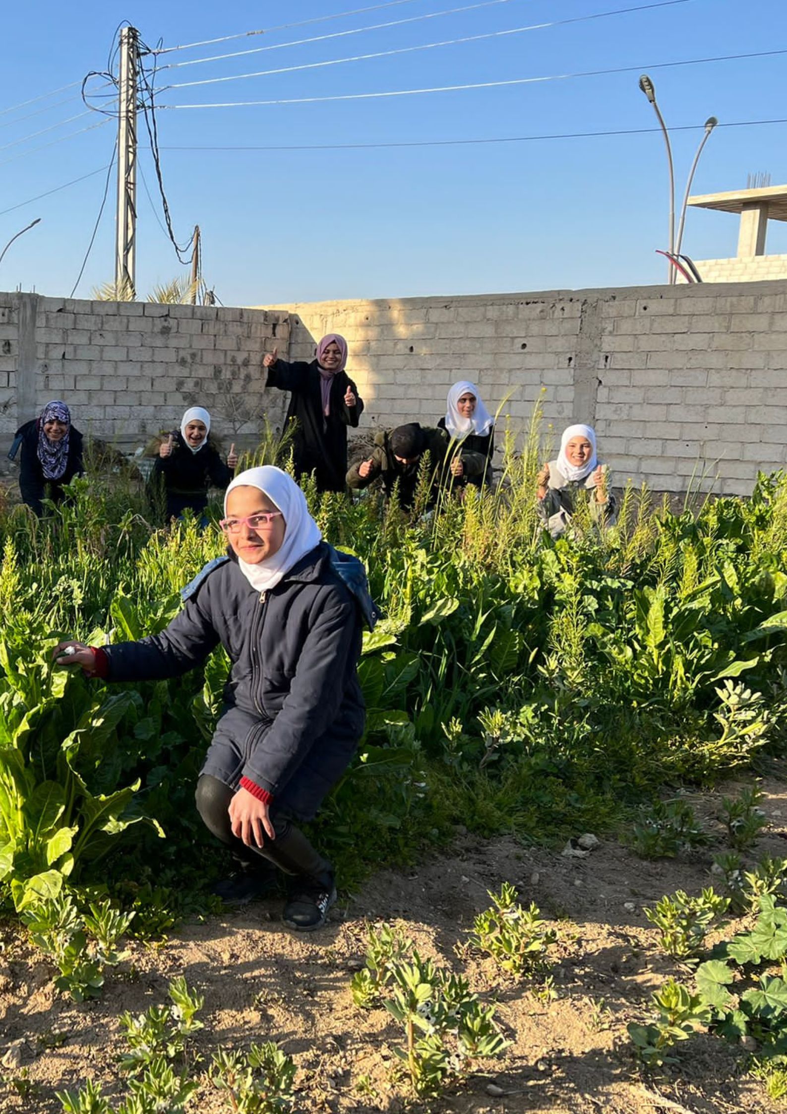 Damascus, Syria - Food Garden March 2022