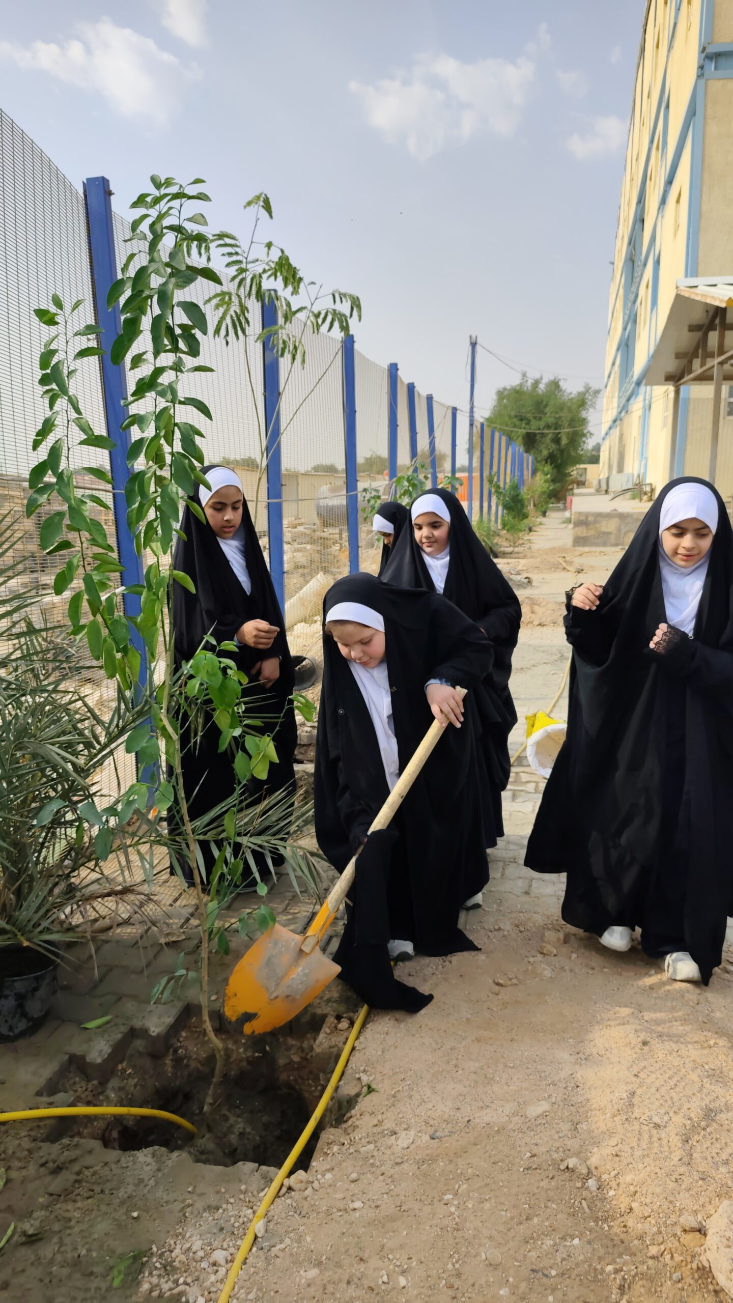 Dar al Zahra Plantation Nov 2025